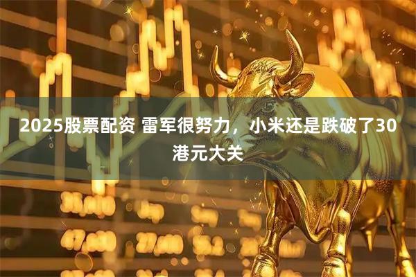 2025股票配资 雷军很努力，小米还是跌破了30港元大关