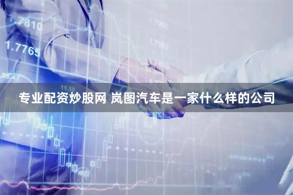 专业配资炒股网 岚图汽车是一家什么样的公司